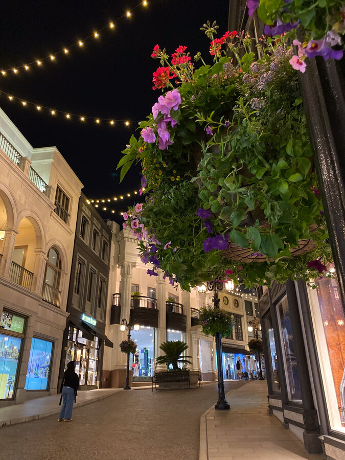 A shopping street at night under strung lights, framed by a hanging basket of flowers
