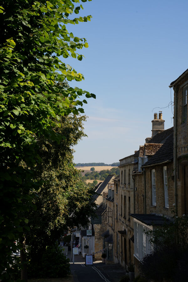 A stone street in Bath framed by overhanging green foliage